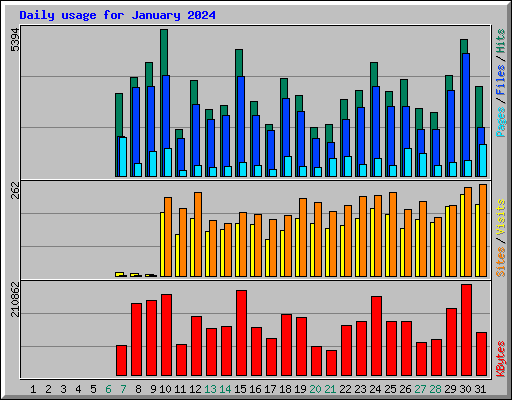 Daily usage for January 2024
