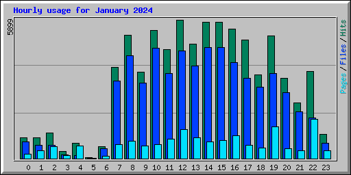 Hourly usage for January 2024