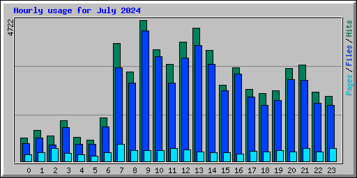 Hourly usage for July 2024
