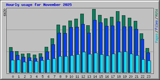 Hourly usage for November 2025